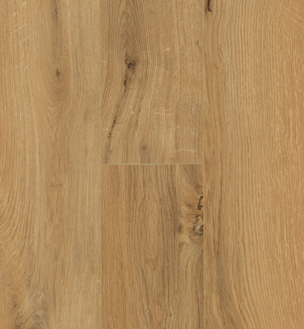 parquet du monde